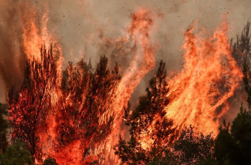  Υψηλός κίνδυνος πυρκαγιάς σε πέντε Περιφέρειες την Τρίτη