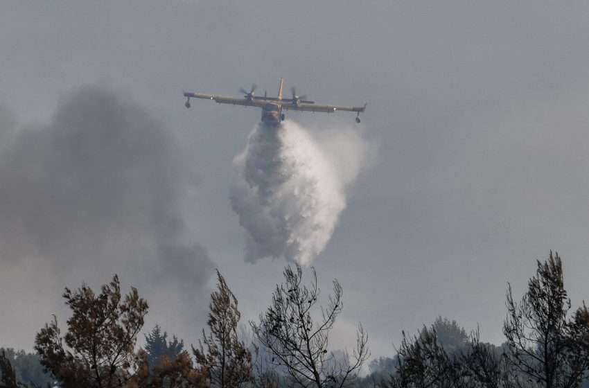  Πυρκαγιά στη Μάνδρα – Επιχειρούν πέντε αεροσκάφη και δύο ελικόπτερα