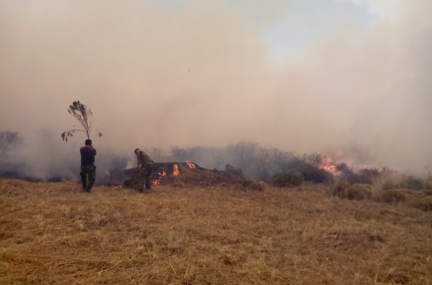 Στην ορεινή περιοχή της Δεσφίνας καίει μέτωπο της φωτιάς στο δήμο Ανατολικής Μάνης