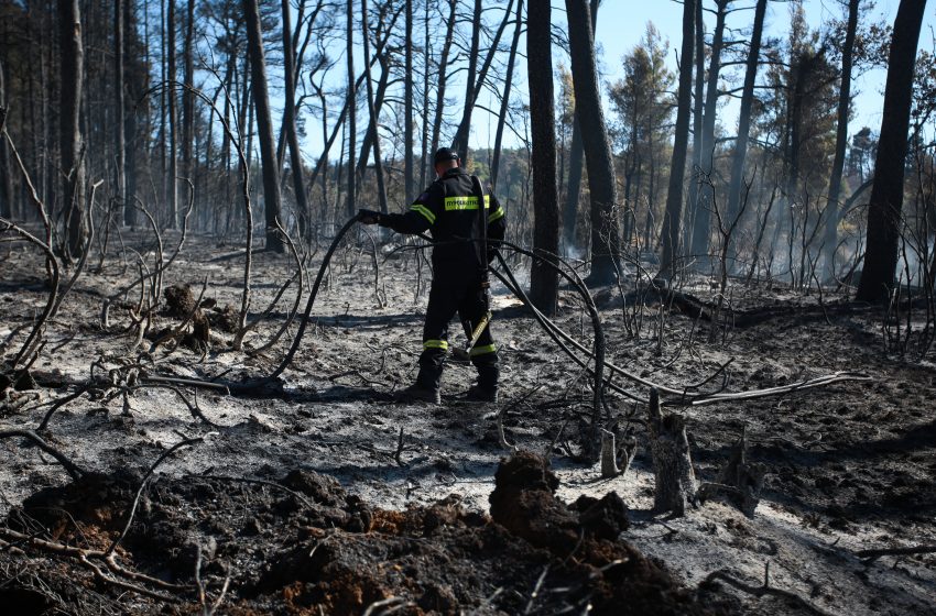  Πάνω από 650.000 στρέμματα έγιναν στάχτη από τις τελευταίες φωτιές