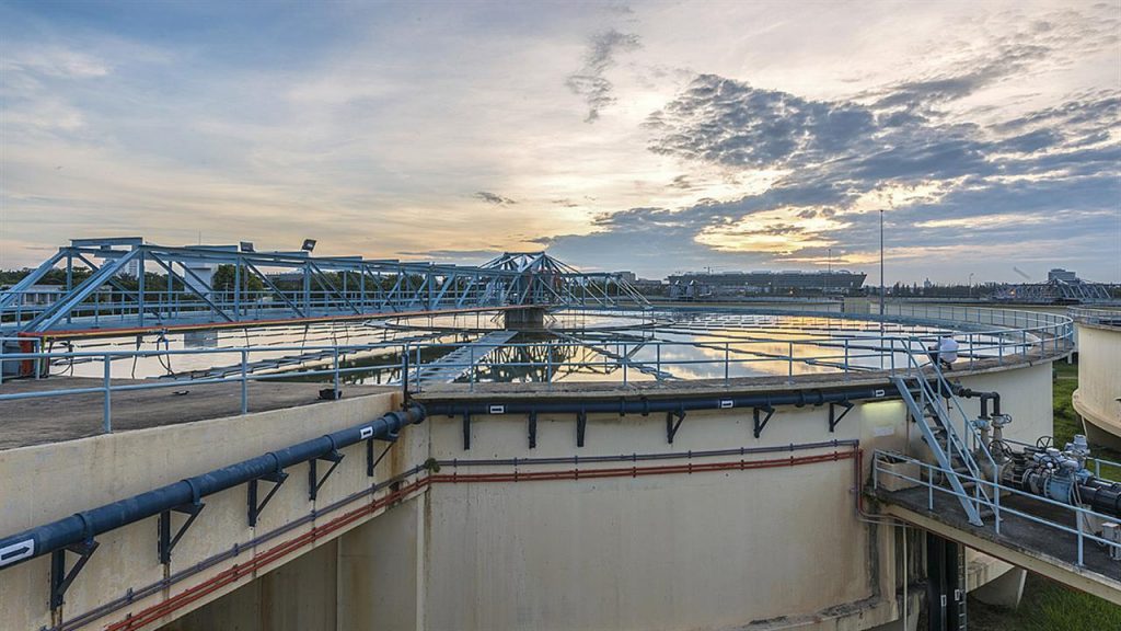 100462 lymata 1280 5