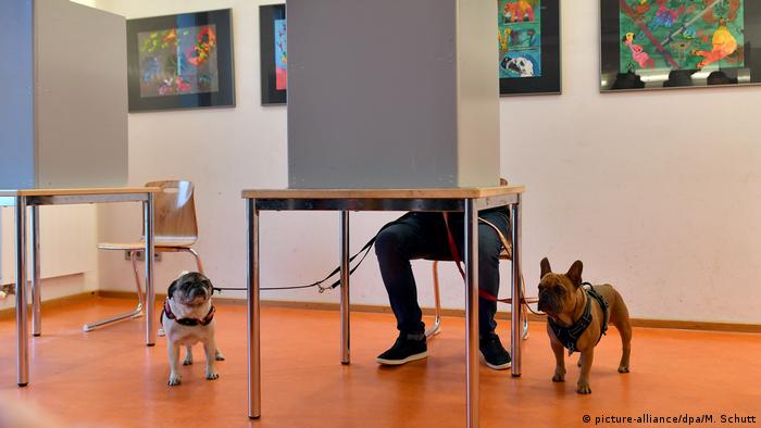  “Πονοκέφαλος” οι δημοσκοπήσεις στη Γερμανία- Τι λένε οι ειδικοί εν όψει εκλογών