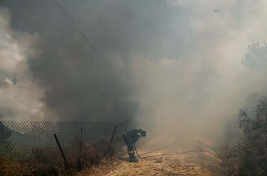  Φωτιά στο Μαρκόπουλο Ηλείας