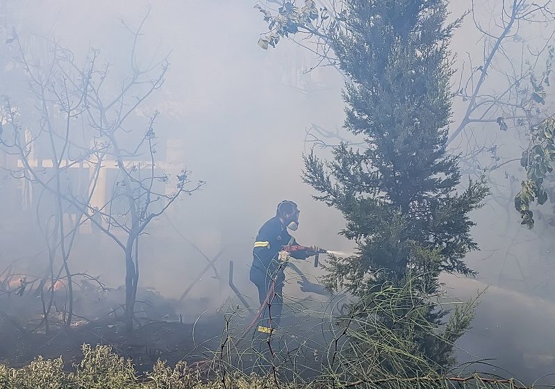  Φωτιά στον Έβρο, κοντά στο Πεδίο Βολής -Ισχυρές πυροσβεστικές δυνάμεις στο σημείο