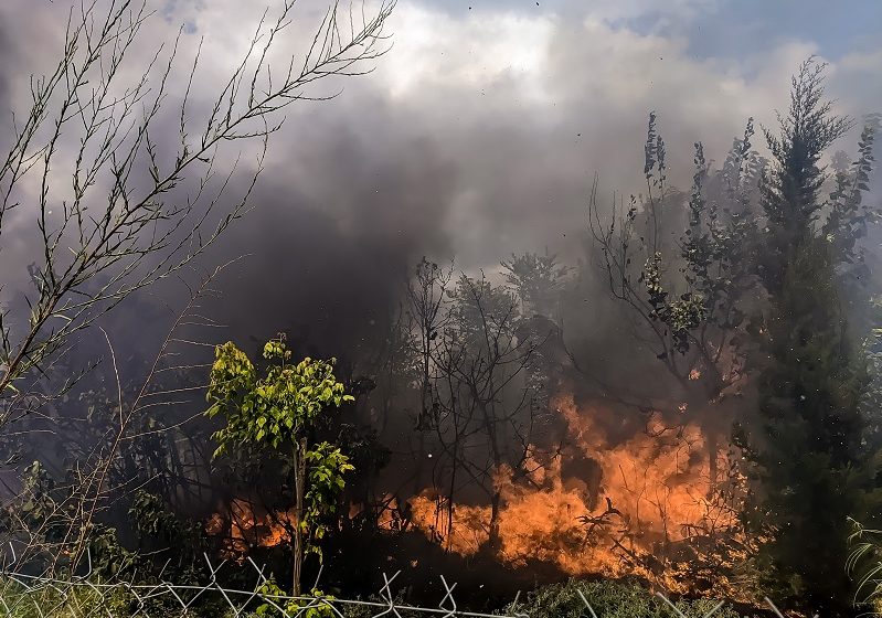  Φωτιά στην Κορινθία – Κοντά στο Σοφικό