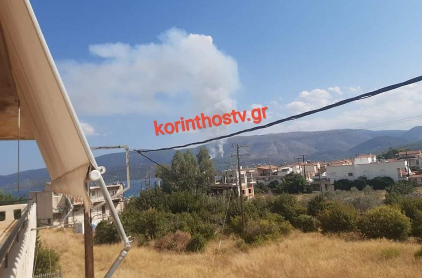  Φωτιά σε δασική έκταση στο Κατακάλι Κορινθίας