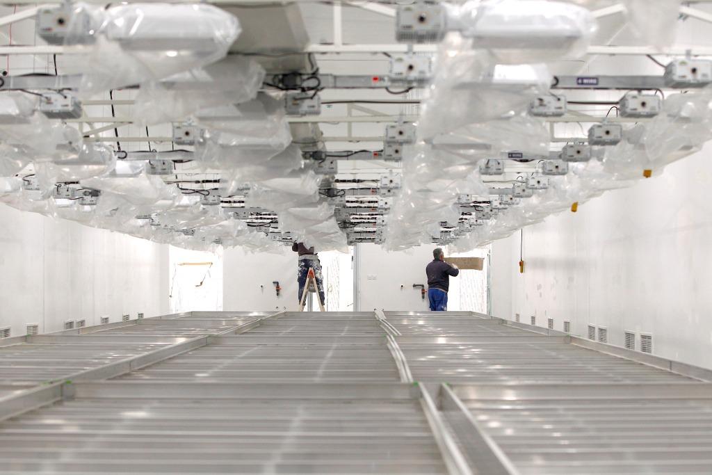 ηρίου επεξεργασία κάνναβης 1