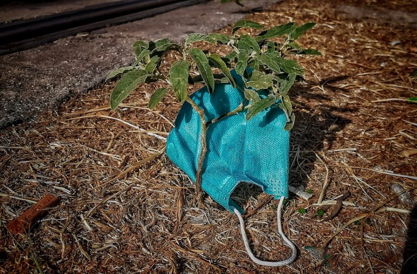  Κοροναϊός – Πού εντοπίζονται τα 2.197 κρούσματα