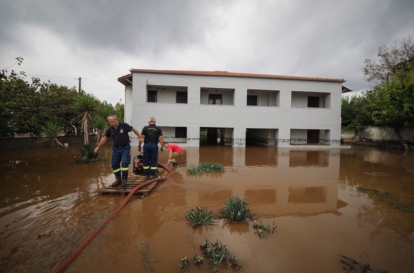  Ορεστιάδα: Πλημμύρισαν σπίτια σε Νεοχώρι και Λεπτή – Η ορμή του νερού έπνιξε δεκάδες οικόσιτα ζώα