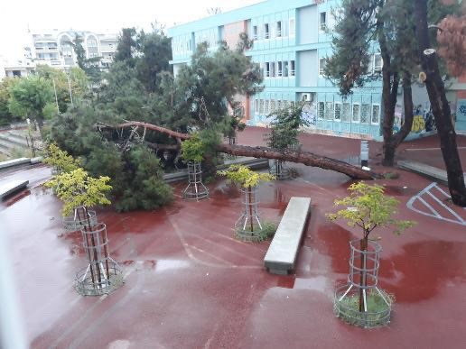  Θεσσαλονίκη:Έπεσε δέντρο σε σχολείο