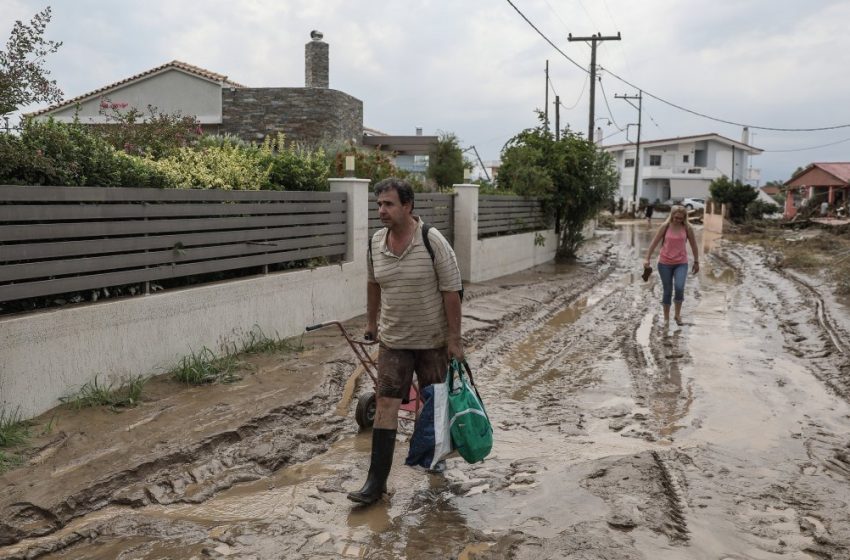  Το ΑΠΕ έκανε ανάρτηση στο twitter με το hashtag #ΣΥΡΙΖΑ_ ξεφτίλες