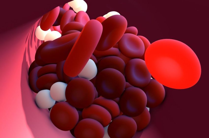  Γεροτζιάφας για εμβόλια mRNA – Αποκάλυψε μελέτη της Σορβόνης για την πήξη του αίματος – Τι έδειξαν τα αποτελέσματα