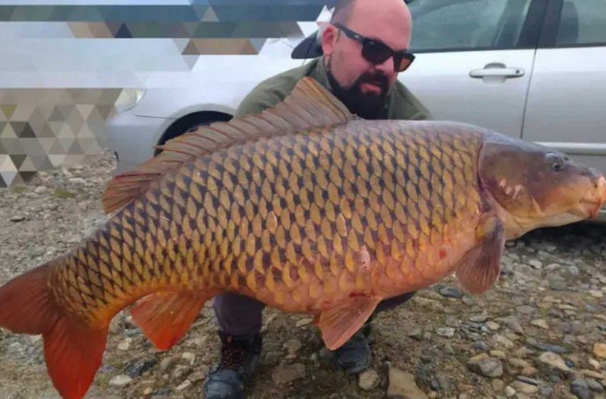  Κοζάνη: Επιασε τεράστιο ψάρι – 24 ολόκληρα κιλά! (εικόνα)