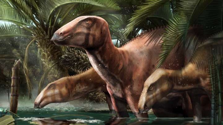  Ανακαλύφθηκε στην Ιταλία το μεγαλύτερο νεκροταφείο δεινοσαύρων, ηλικίας 80 εκατομμυρίων ετών