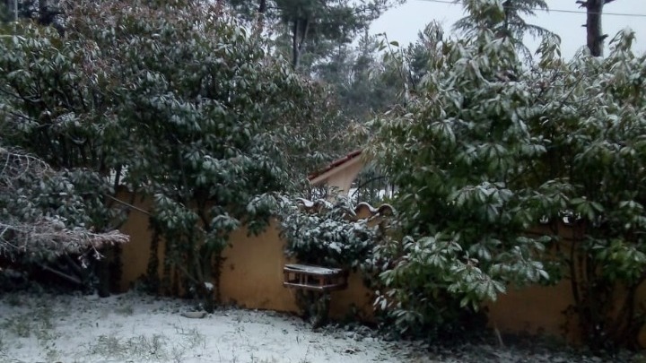  Μαρουσάκης: Χιονιάς προ των πυλών – Πού θα χιονίσει στην Αθήνα