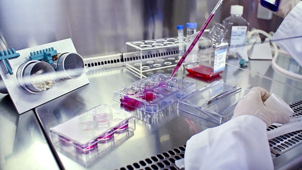 Research work Beiersdorf