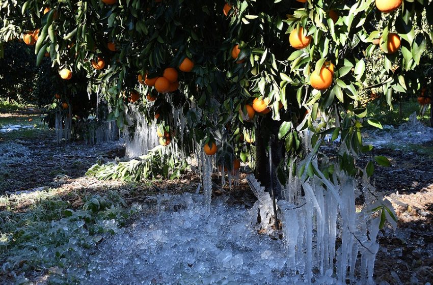  Ξαφνικές ανατιμήσεις φωτιά μετά τις ελλείψεις προϊόντων σε λαϊκές αγορές και στα ράφια των σούπερ μάρκετ (vid)