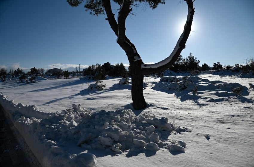  Χάρτες: Η χιονοκάλυψη από την “Ελπίδα” και πολικές θερμοκρασίες – Πού καταγράφηκε -18,1 βαθμούς