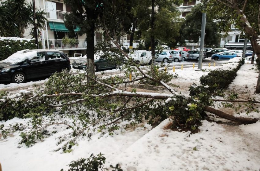  ΔΕΔΔΗΕ: Τι πρέπει να προσέχουν οι πολίτες