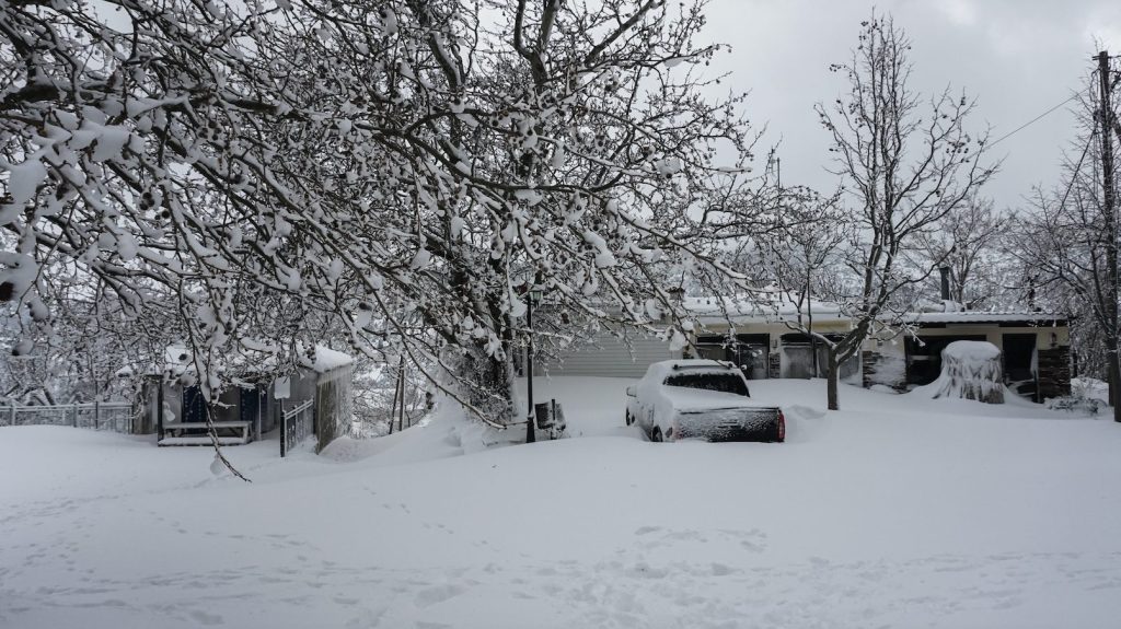 Στιγμιότυπο 2022 01 13 11.29.46 π.μ.