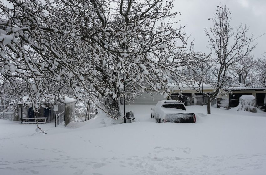  “Διομήδης”: Πάνω από μισό μέτρο το χιόνι στο Πήλιο