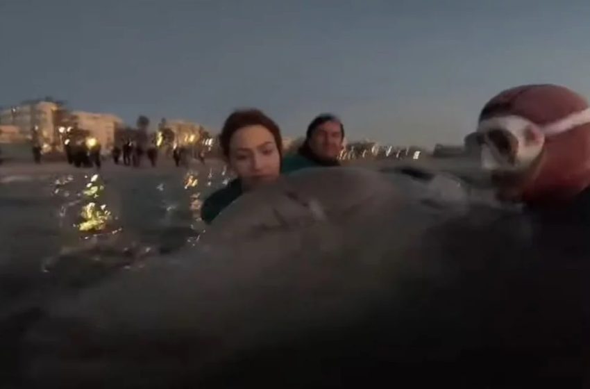  Τάνια Δράκου: Η κοπέλα που τραγούδησε στην φάλαινα του Αλίμου (vid)