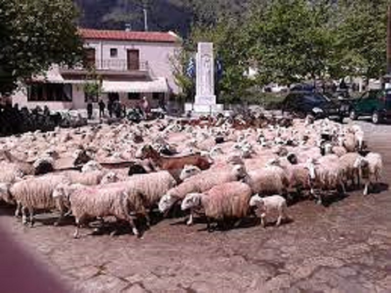 αρχείο λήψης 4