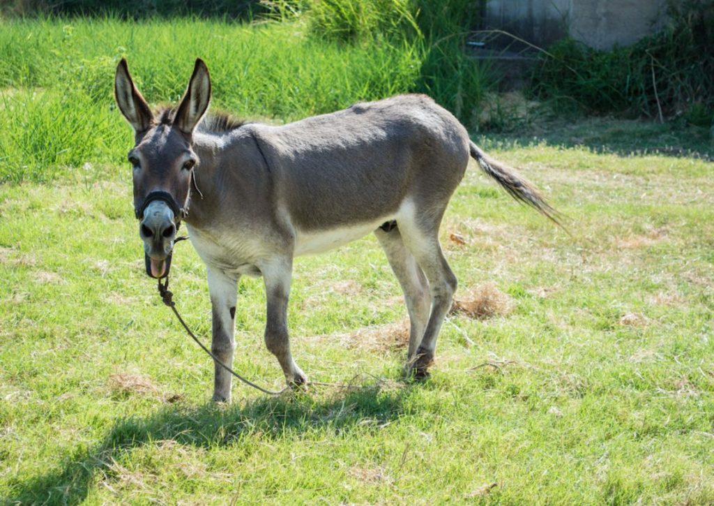 Στιγμιότυπο 2022 02 21 1.39.23 μ.μ.