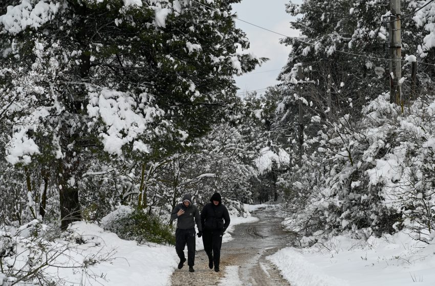  Βόλος: Μήνυμα από το 112 στους κατοίκους της Μαγνησίας για επικίνδυνα καιρικά φαινόμενα – Πυκνό χιόνι στο Πήλιο