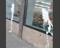  Ουκρανία – Ξεκίνησαν επιθέσεις σε ρωσικά μαγαζιά στη Γερμανία