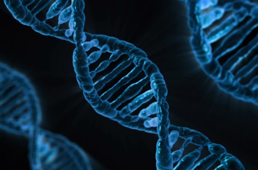  Ανακάλυψη για Νόμπελ – Ολοκληρώθηκε η αποκωδικοποίηση του ανθρώπινου γονιδιώματος