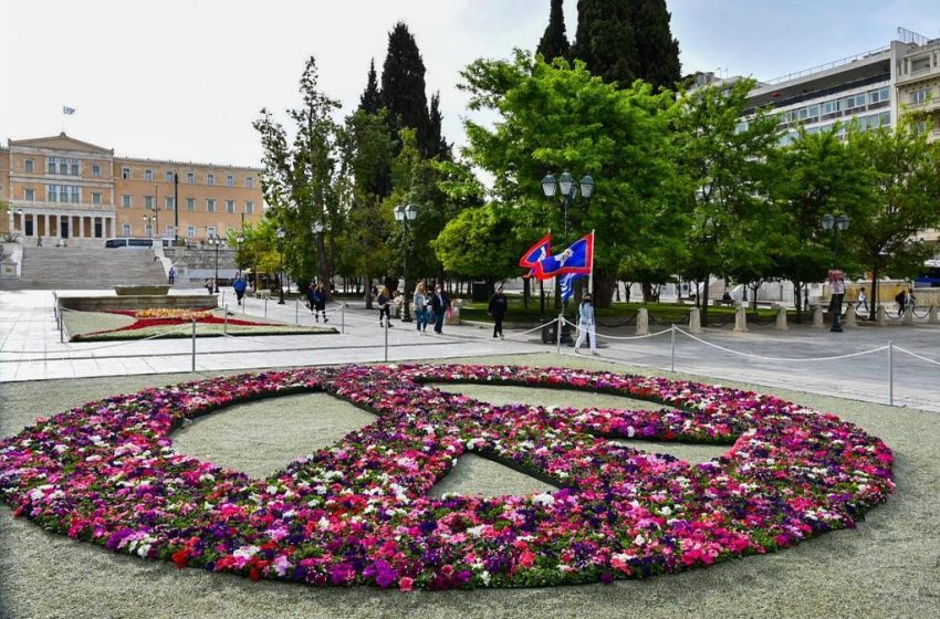  Πλατεία Συντάγματος: Χιλιάδες πολύχρωμα λουλούδια συνθέτουν το διεθνές σύμβολο της ειρήνης (vid)
