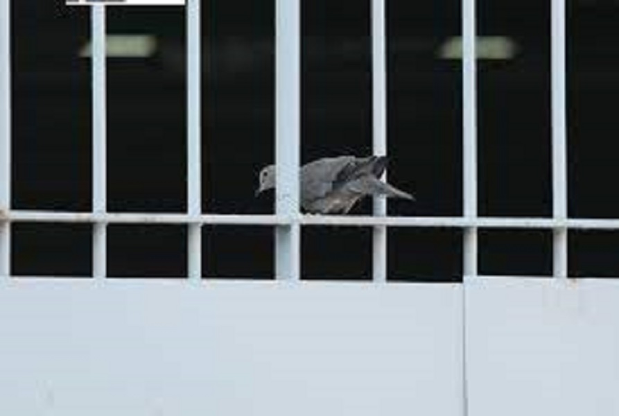 αρχείο λήψης 3