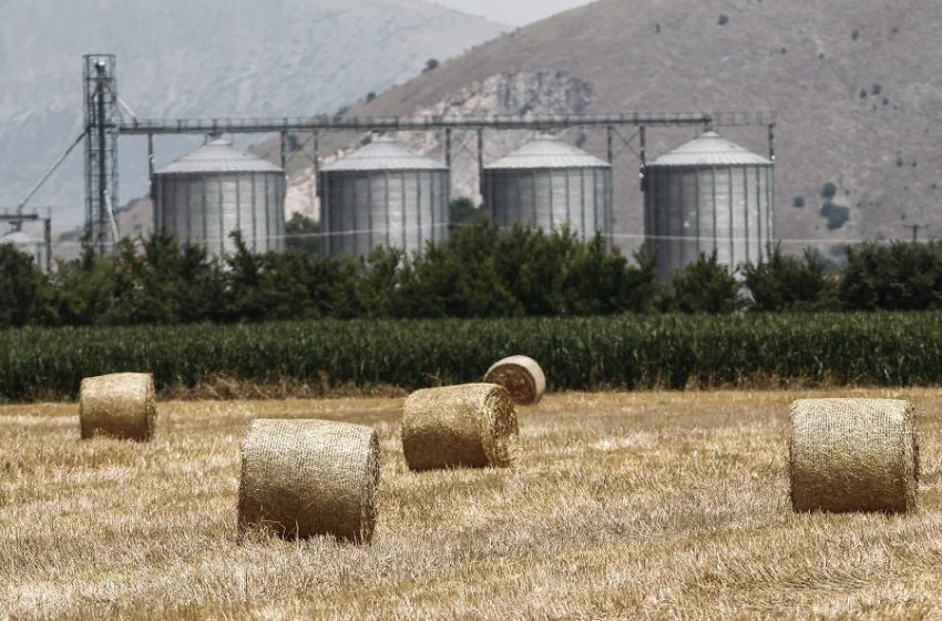  Πόσο εξαρτάται η Ελλάδα από τη Ρωσία για την προμήθεια τροφίμων; – Το κυβερνητικό σχέδιο 12 σημείων (vid)