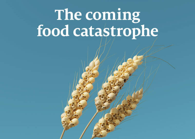 Economist: Η δυστοπία του επερχόμενου λιμού- Συγκλονιστικά στοιχεία για τον επισιτιστικό Αρμαγεδδώνα λόγω πολέμου