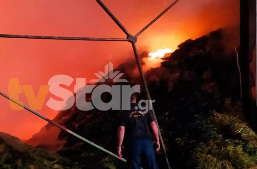  Βοιωτία: Μεγάλη φωτιά σε αποθήκη με ζωοτροφές 