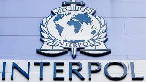  Προειδοποίηση Interpol: Πολλά από τα όπλα που στέλνονται στην Ουκρανία θα καταλήξουν στην διεθνή αγορά εγκληματικών οργανώσεων!- Λαθεμπόριο λιπασμάτων και καυσίμων