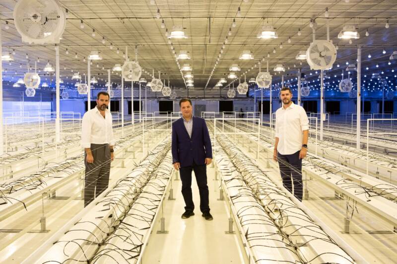 ΔΤ TIKUN EUROPE φωτογραφία 2