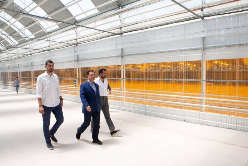 ΔΤ TIKUN EUROPE φωτογραφία 4