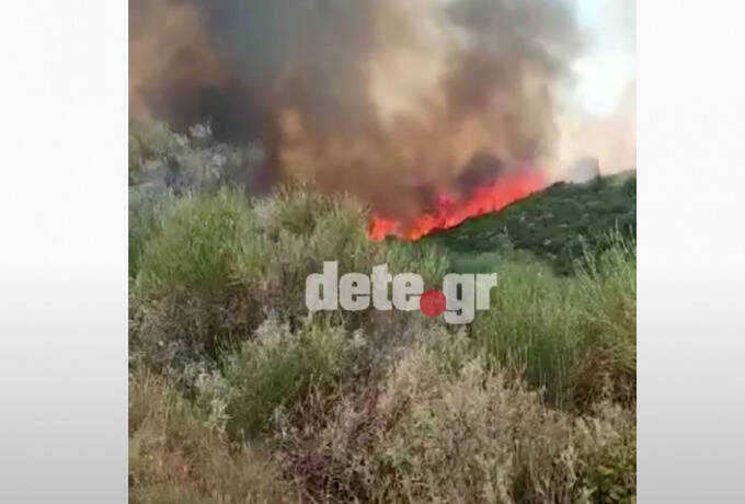  Δύσκολη η κατάσταση στην Ηλεία – Στο νοσοκομείο με εγκαύματα ένας πυροσβέστης (vid)