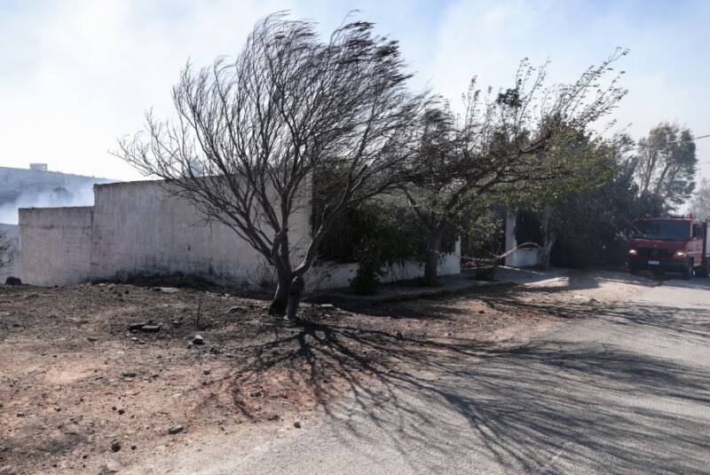  Κάηκαν πάνω από 25 σπίτια και επιχειρήσεις μόνο στην Ανθούσα