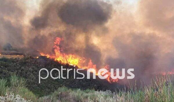  Ανεξέλεγκτη η φωτιά στην Ηλεία: Πλησιάζει στα σπίτια, φεύγουν κάτοικοι (εικόνες)