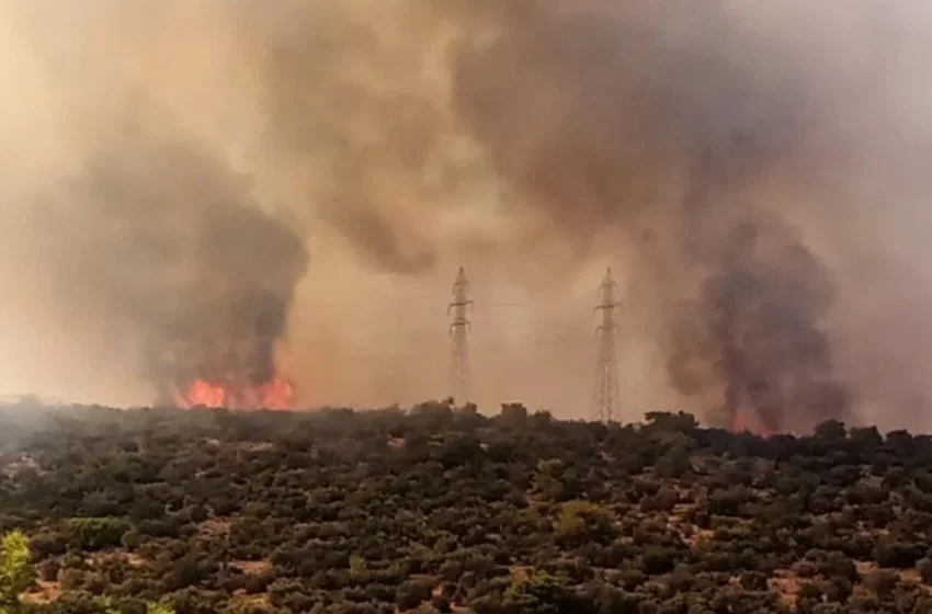  Ηράκλειο: Πυρκαγιά στο φαράγγι του Αλμυρού