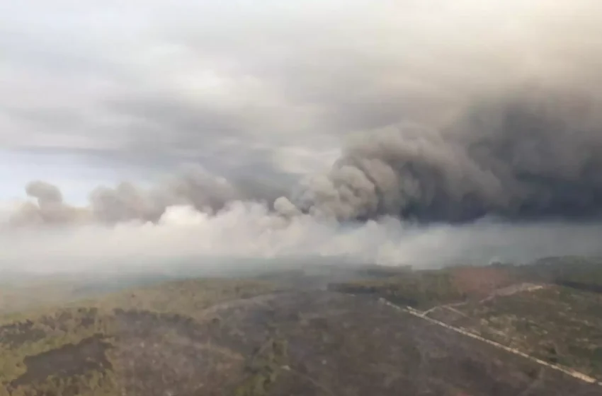  Γαλλία: Φωτιές σε μεγάλη έκταση καίνε τα δάση της χώρας – Έστειλε βοήθεια η Ελλάδα