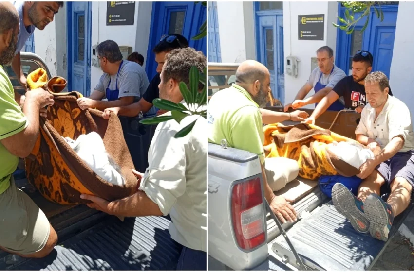  Εικόνες ντροπής στην Ικαρία: Μετέφεραν ασθενή σε καρότσα αγροτικού γιατί δεν υπήρχε διαθέσιμο ασθενοφόρο