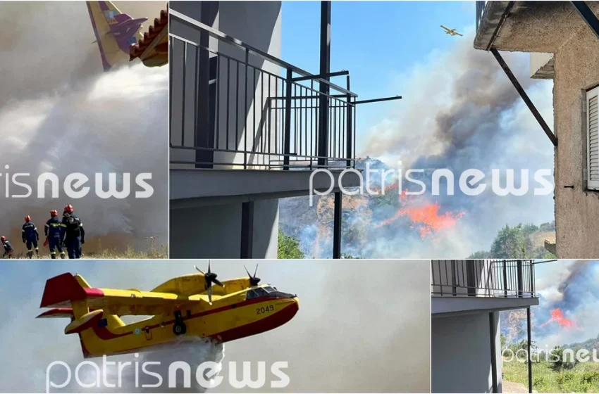 ileia fotia traumaties