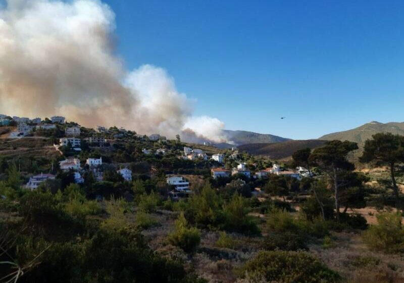  Συναγερμός για μεγάλη φωτιά στο Νταού Πεντέλης – Βρίσκεται κοντά στη Μονή Παντοκράτορος – Επείγον μήνυμα του 112 (εικόνες, vid)