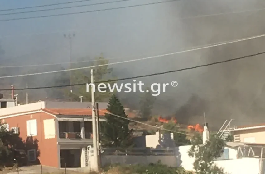  Ξεφεύγει η φωτιά και στην Σαλαμίνα – Τριπλό μέτωπο καίει πάνω από την πόλη – Απομακρύνονται κάτοικοι μετά από μήνυμα του 112 (εικόνες)