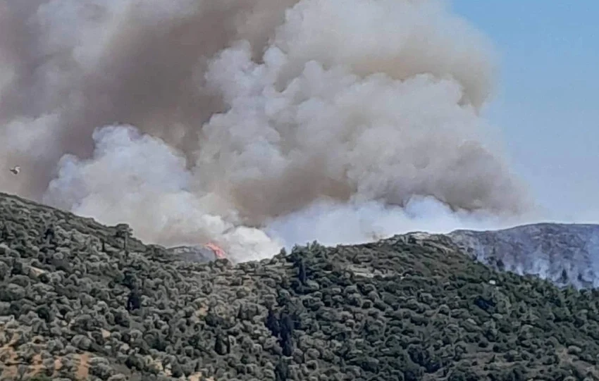  Μεγάλη φωτιά και στα Μέγαρα – Προληπτική εκκένωση οικισμού