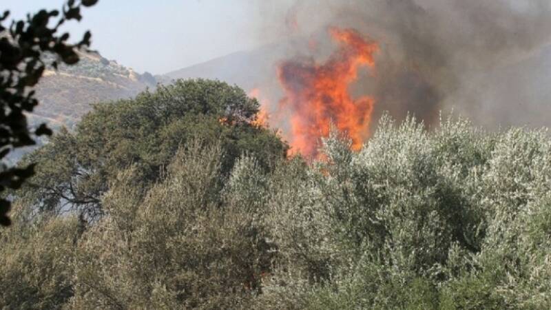  Ρέθυμνο: Σε εξέλιξη η φωτιά στην Ορνέ του δήμου Αγίου Βασιλείου